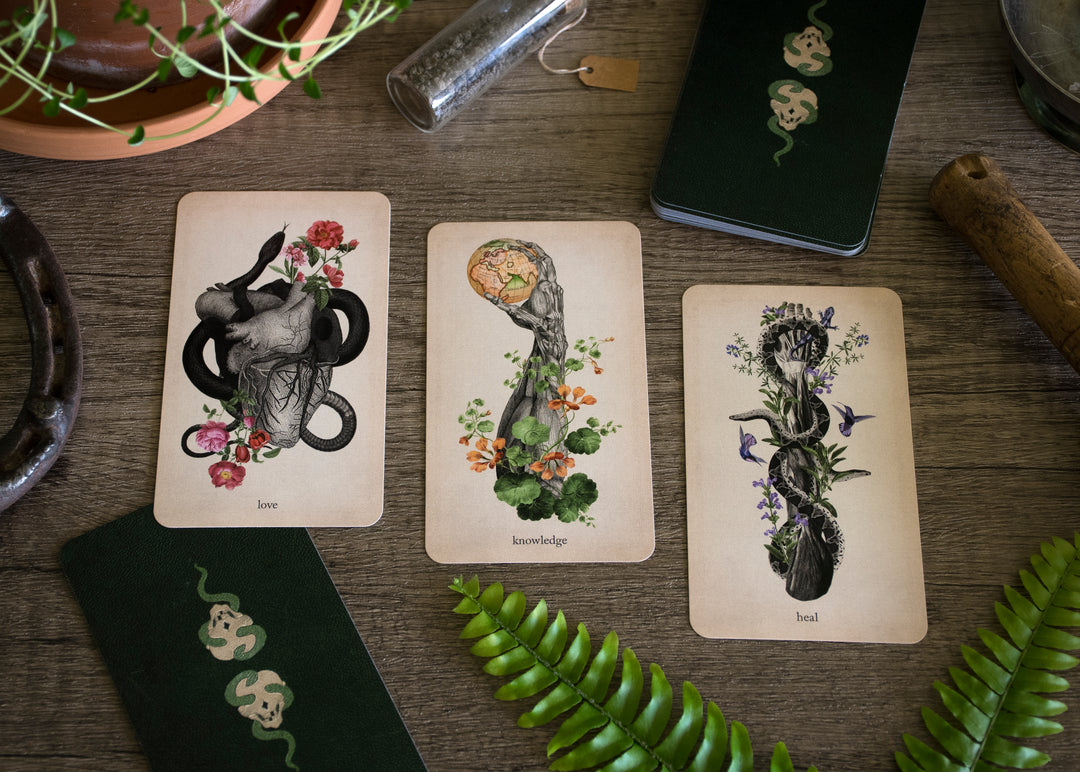 WHOLESALE PREORDER: Oracle of Oddities - Rose Sanctuary (small bundle) - Black and the Moon