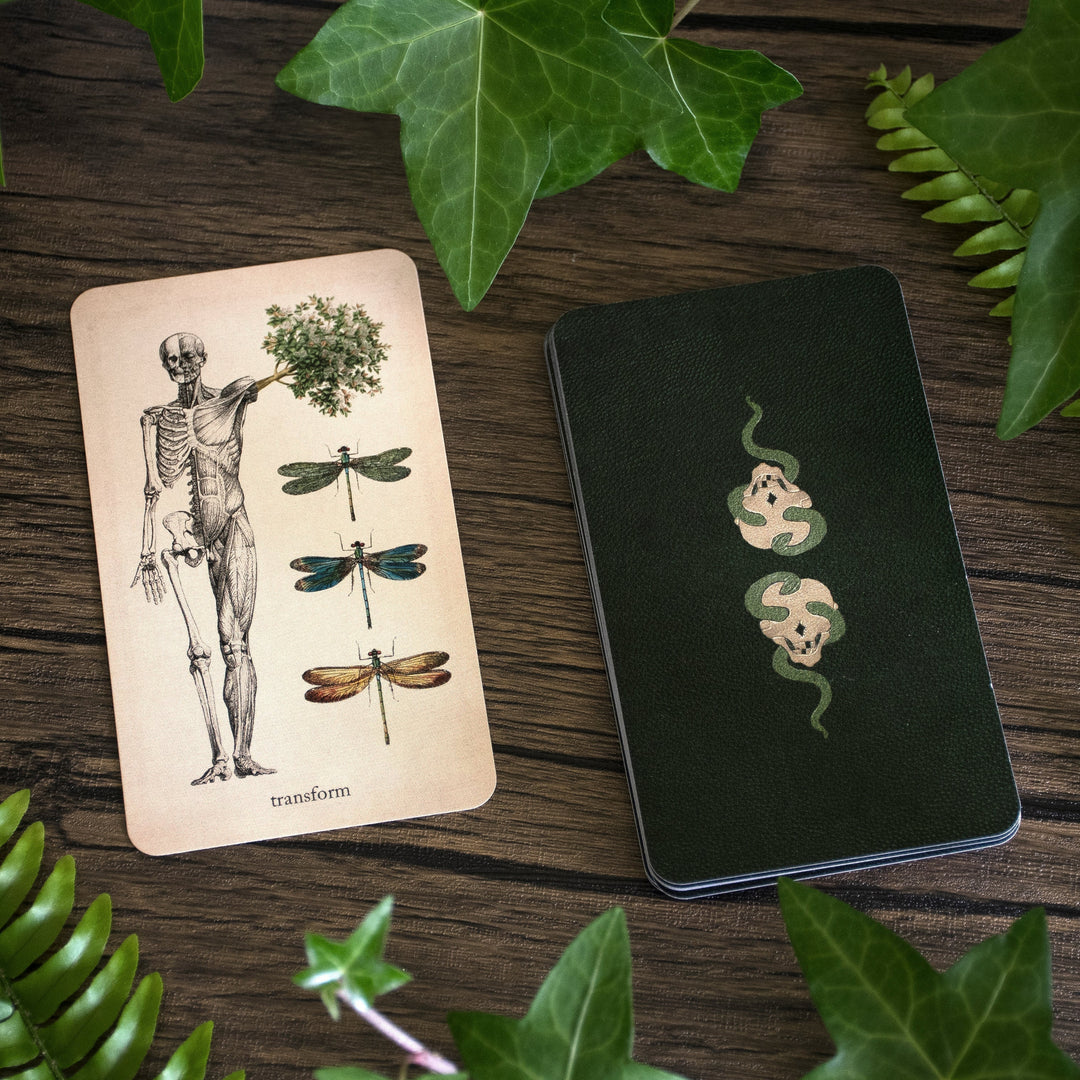 Oracle of Oddities: Everything you need to know