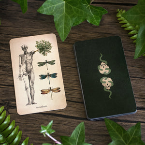 Oracle of Oddities: Everything you need to know