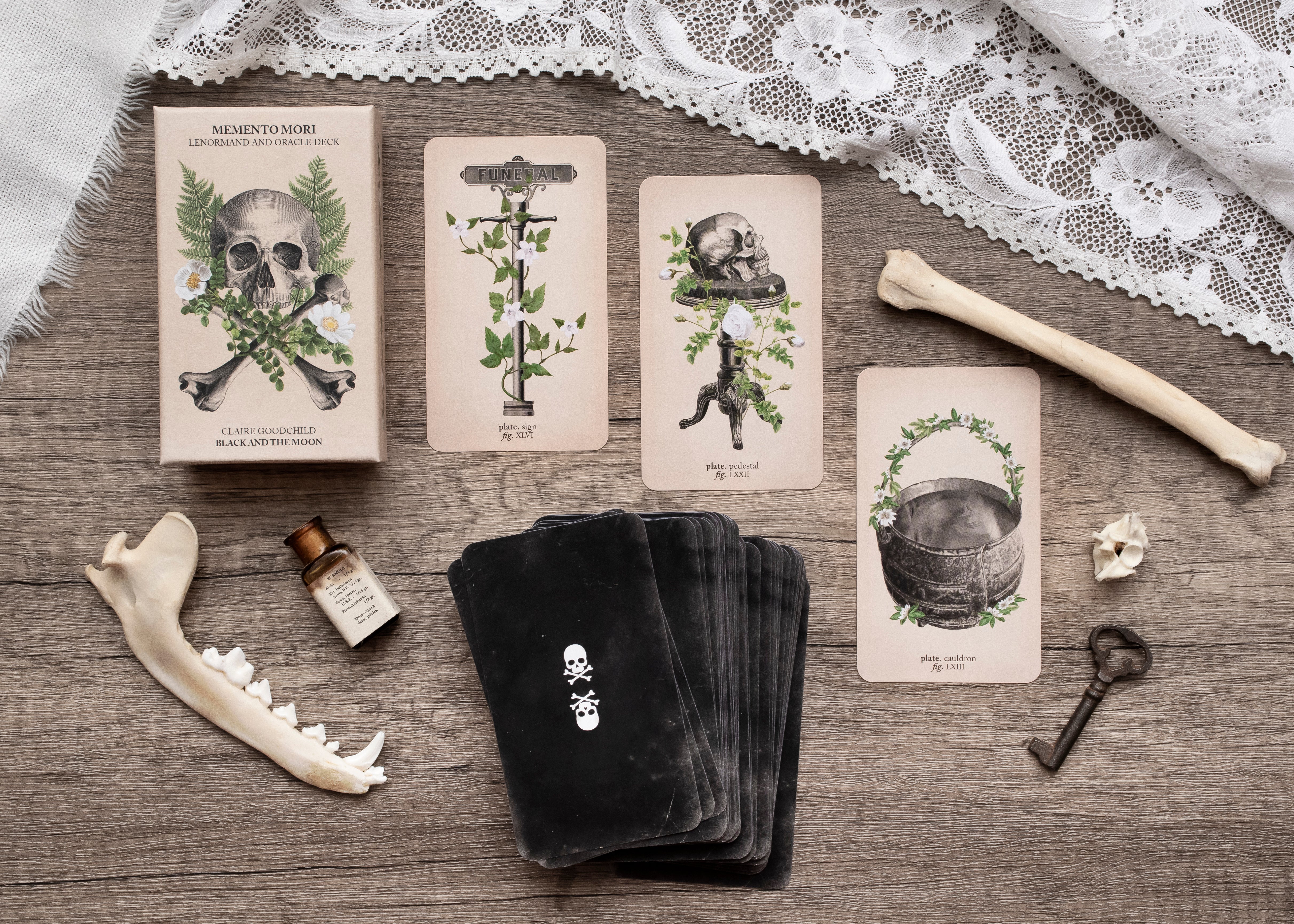 Paranormal Investigating Oracle Deck – Black and the Moon