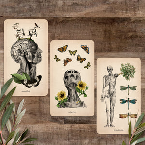 Oracle of Oddities: Oracle Deck - Coming Soon - Black and the Moon