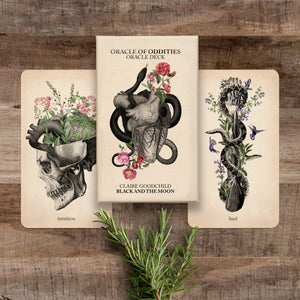 Oracle of Oddities: Oracle Deck - Coming Soon - Black and the Moon