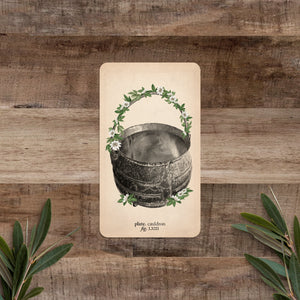 Memento Mori Oracle Replacement Card: Cauldron (formerly pot) - Black and the Moon