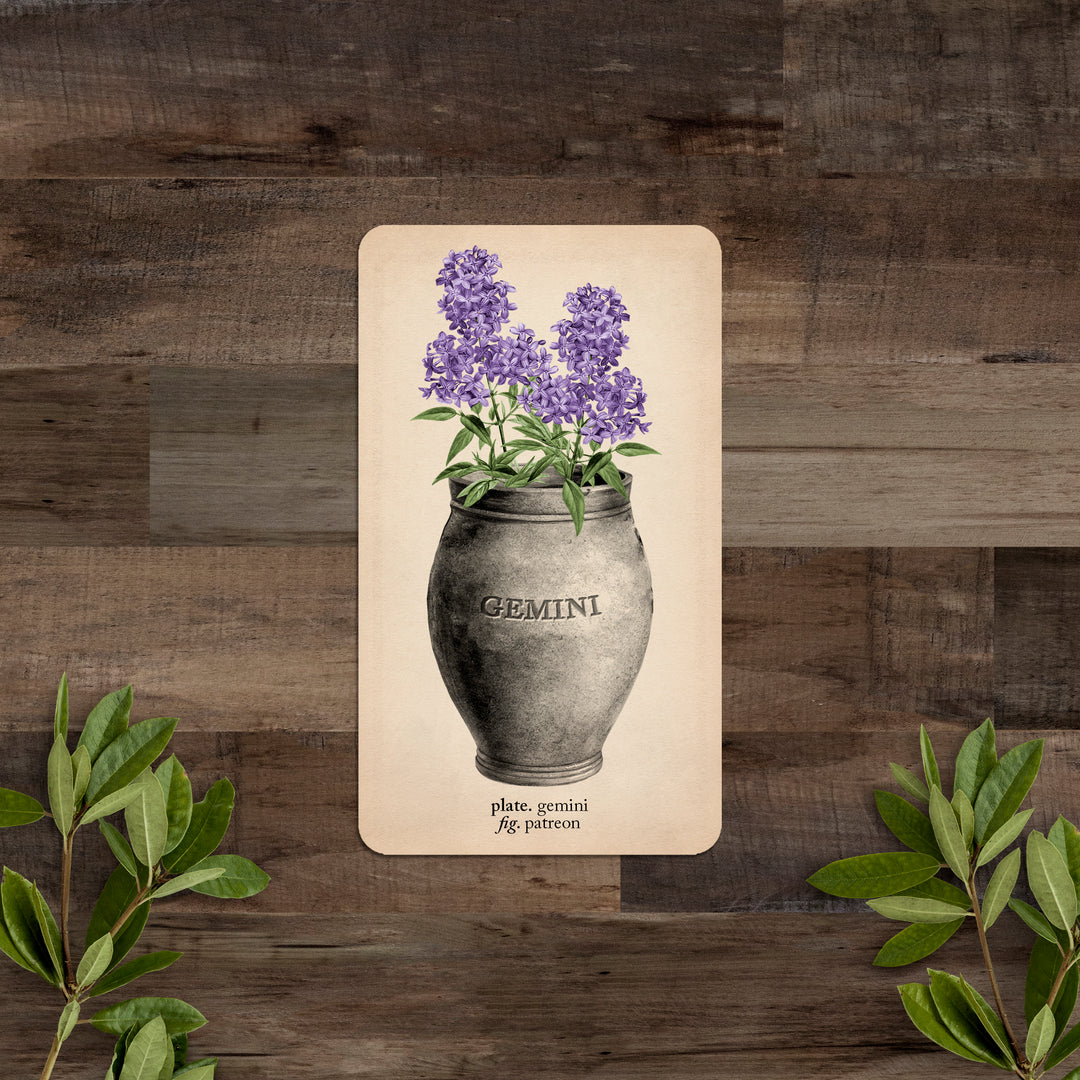 PATREON Single Card: Gemini - Black and the Moon