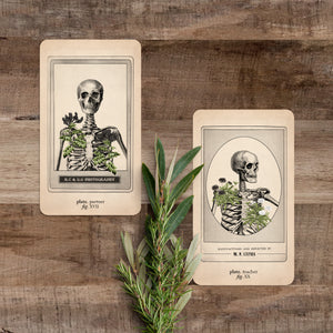 Memento Mori Oracle: Ancestors & Advisors - Black and the Moon