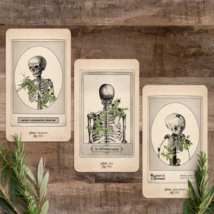 Memento Mori Oracle: Ancestors & Advisors - Black and the Moon
