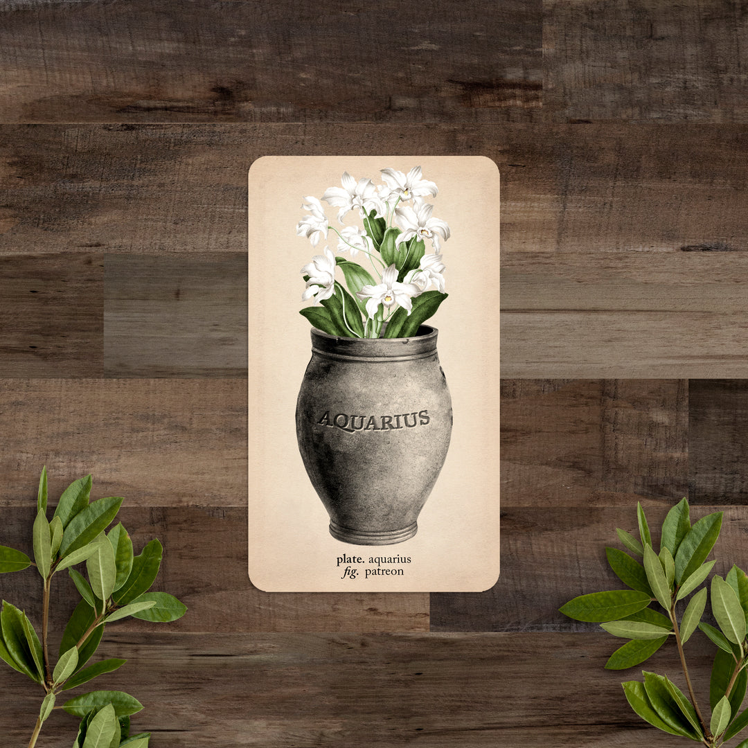 PATREON Single Card: Aquarius - Black and the Moon