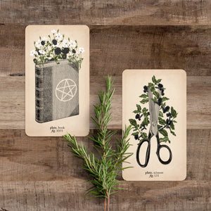 memento mori oracle deck cards